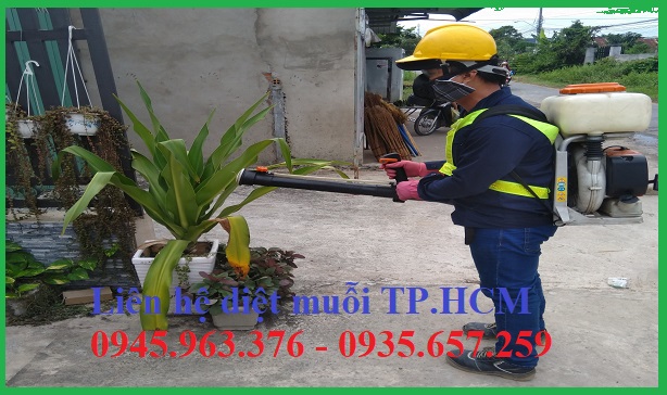 dich-vu-diet-muoi-tai-tphcm