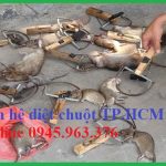 Dịch vụ diệt chuột tại nhà tphcm – Chuyên gia diệt chuột