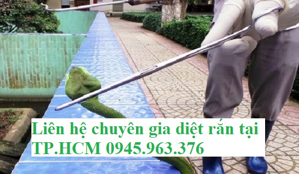 dich-vu-bat-ran-tai-nha-tphcm