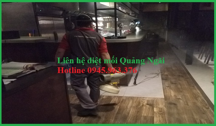 dich-vu-diet-moi-quang-ngai