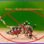 Dịch vụ diệt muỗi giá rẻ quận 2 – Công ty phun diệt muỗi tận gốc