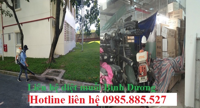 dich-vu-diet-muoi-tai-binh-duong