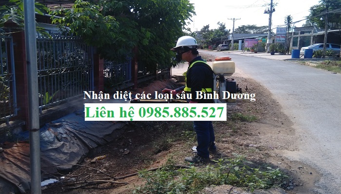 dich-vu-diet-sau-tai-binh-duong