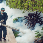 Dịch vụ diệt muỗi quận Bình Tân – Phun diệt côn trùng chuyên nghiệp