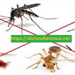Công ty diệt côn trùng tại tỉnh Đồng Nai – Bán thuốc diệt chuột, mối tận gốc