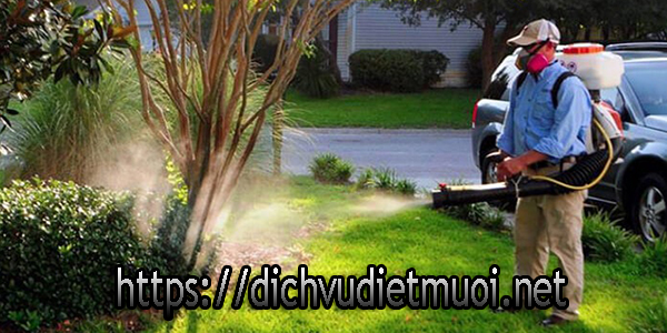dich-vu-phun-thuoc-diet-muoi-quan-11