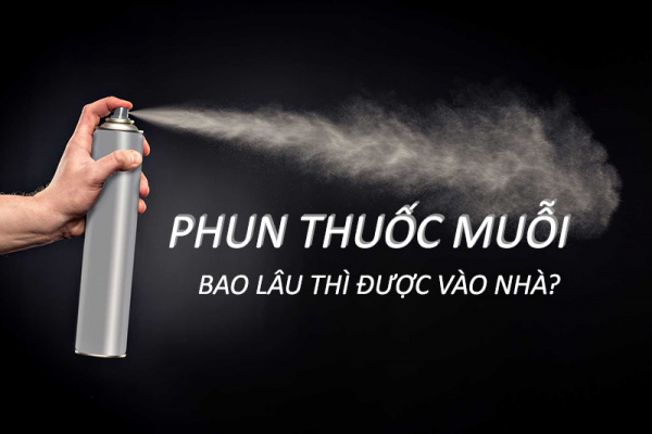 dich-vu-diet-muoi-tan-goc-binh-duong