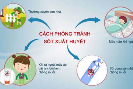 dich-vu-phun-thuoc-diet-muoi-tai-gia-lai