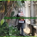 Dịch vụ diệt muỗi quận Sơn Trà Đà Nẵng – Phun diệt ruồi chuyên nghiệp