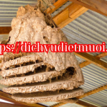 Dịch Vụ Diệt Ong Tại Đà Nẵng – Phá Tổ Ong Vò Vẽ Chuyên Nghiệp