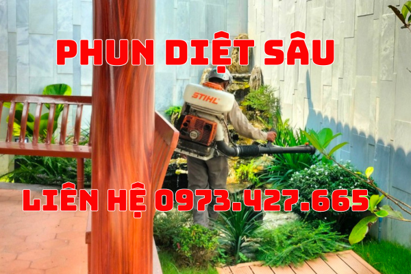 dich-vu-diet-sau-rom-tai-tphcm