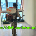 Phun thuốc diệt muỗi quận 5 – Công ty diệt côn trùng TPHCM