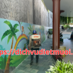 Dịch vụ diệt muỗi quận Liên Chiểu – Phun diệt côn trùng Đà Nẵng