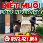 Diệt muỗi quận Ngũ Hành Sơn – Phun thuốc diệt muỗi tận gốc